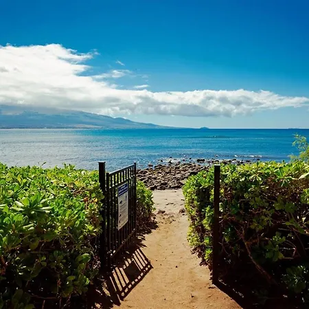 Stunning Maui Direct Ocean Front On The Beach, Walk To Beach From Condo, Watch Turtles, Whales, Ac In All Rooms Ocean View Pool And Spa Wailuku Exterior foto