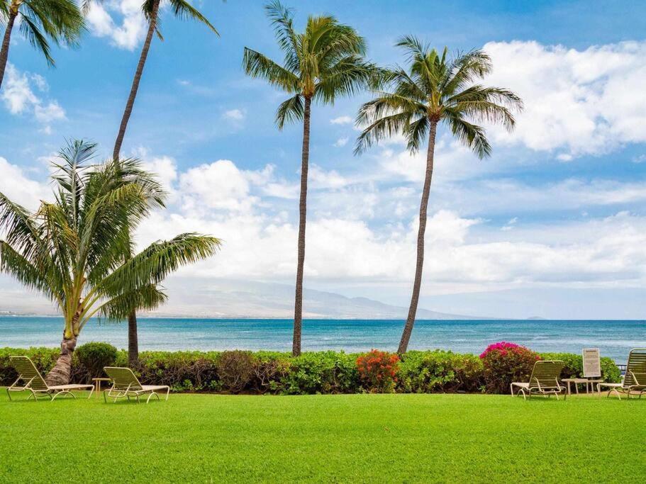 Maui Oceanfront Haven: Beachside Retreat With Turtle & Whale Watching Wailuku