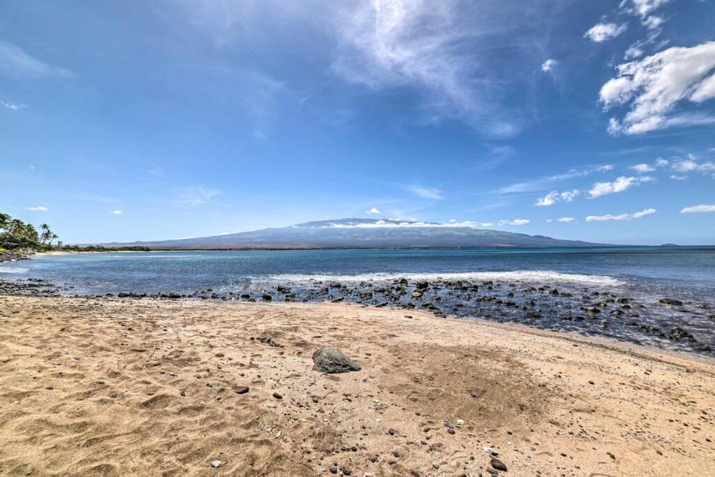 Maui Oceanfront Haven: Beachside Retreat With Turtle & Whale Watching