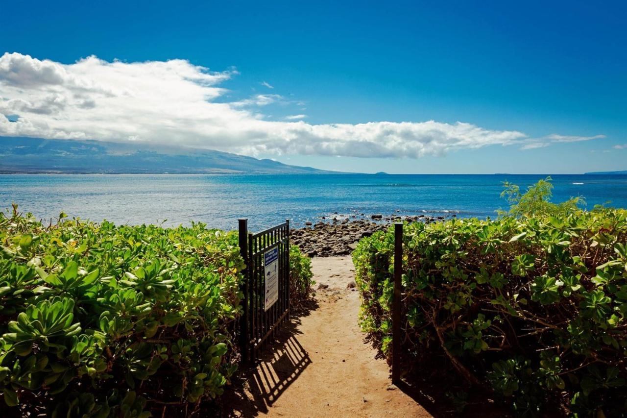 Maui Oceanfront Haven: Beachside Retreat With Turtle & Whale Watching Wailuku