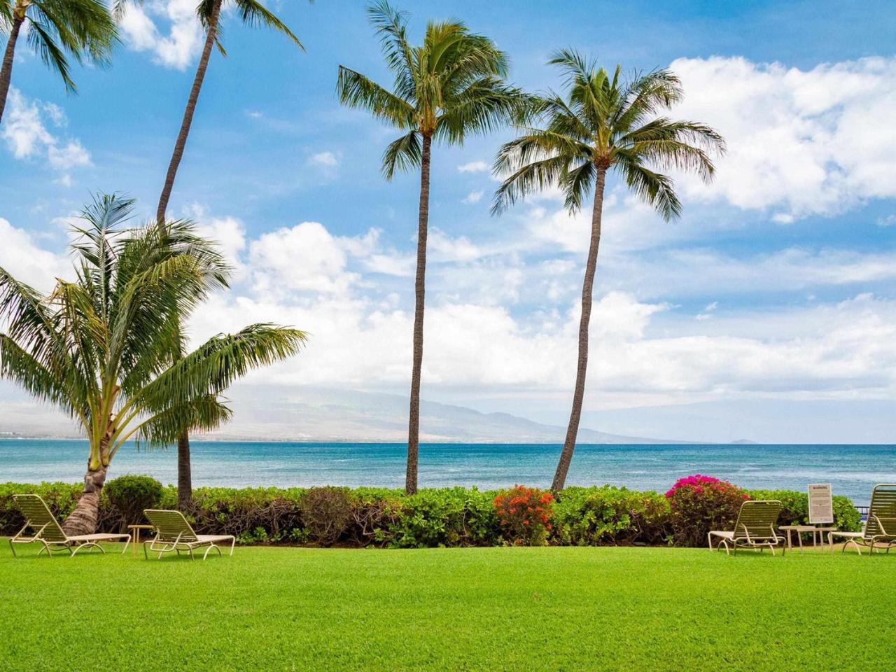 Apartment Maui Oceanfront Haven: Beachside Retreat With Turtle & Whale Watching Wailuku