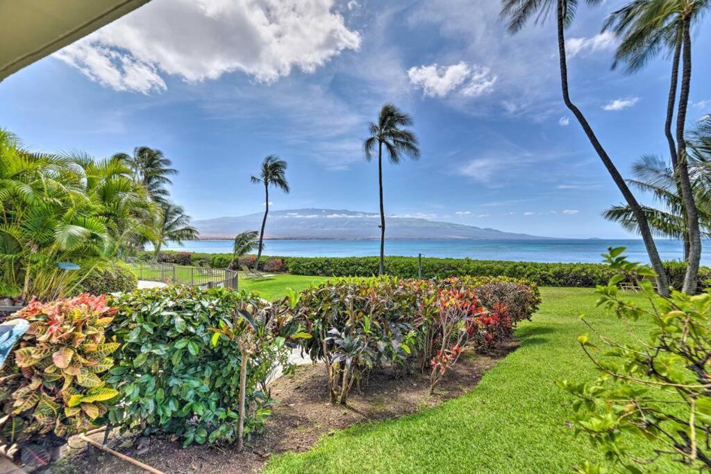 Maui Oceanfront Haven: Beachside Retreat With Turtle & Whale Watching Apartment Wailuku
